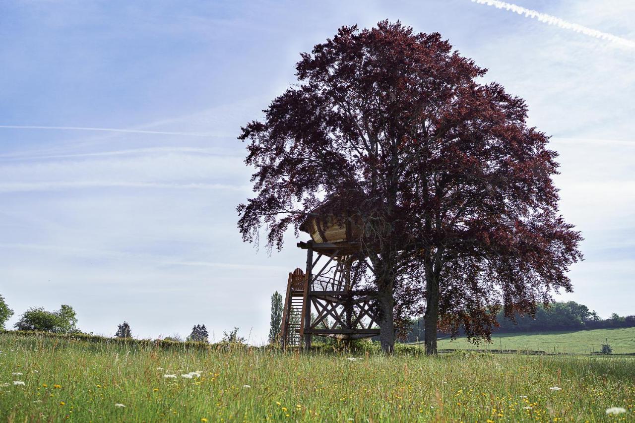 Cabane Perchee Dans Les Arbres Saint-Hilaire-en-Morvan Экстерьер фото