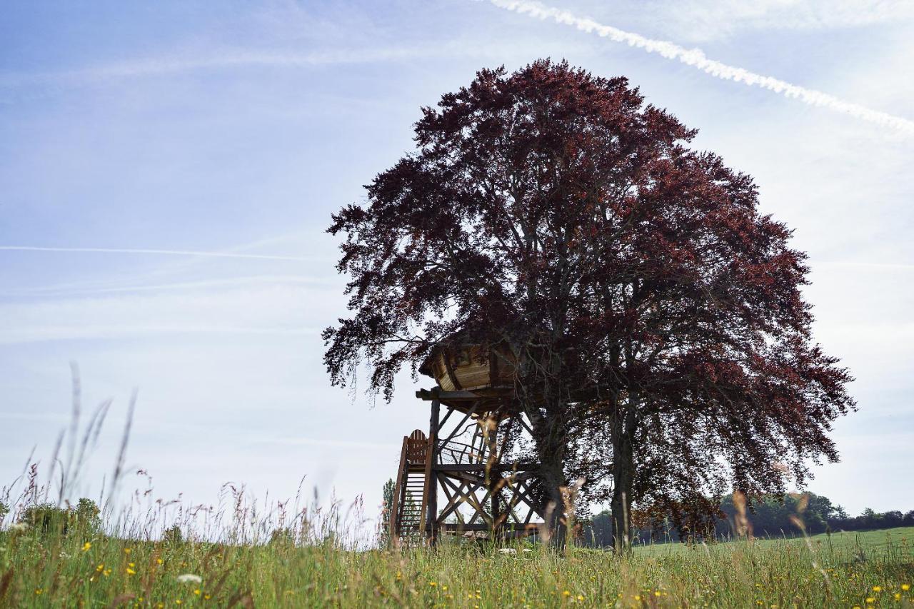 Cabane Perchee Dans Les Arbres Saint-Hilaire-en-Morvan Экстерьер фото
