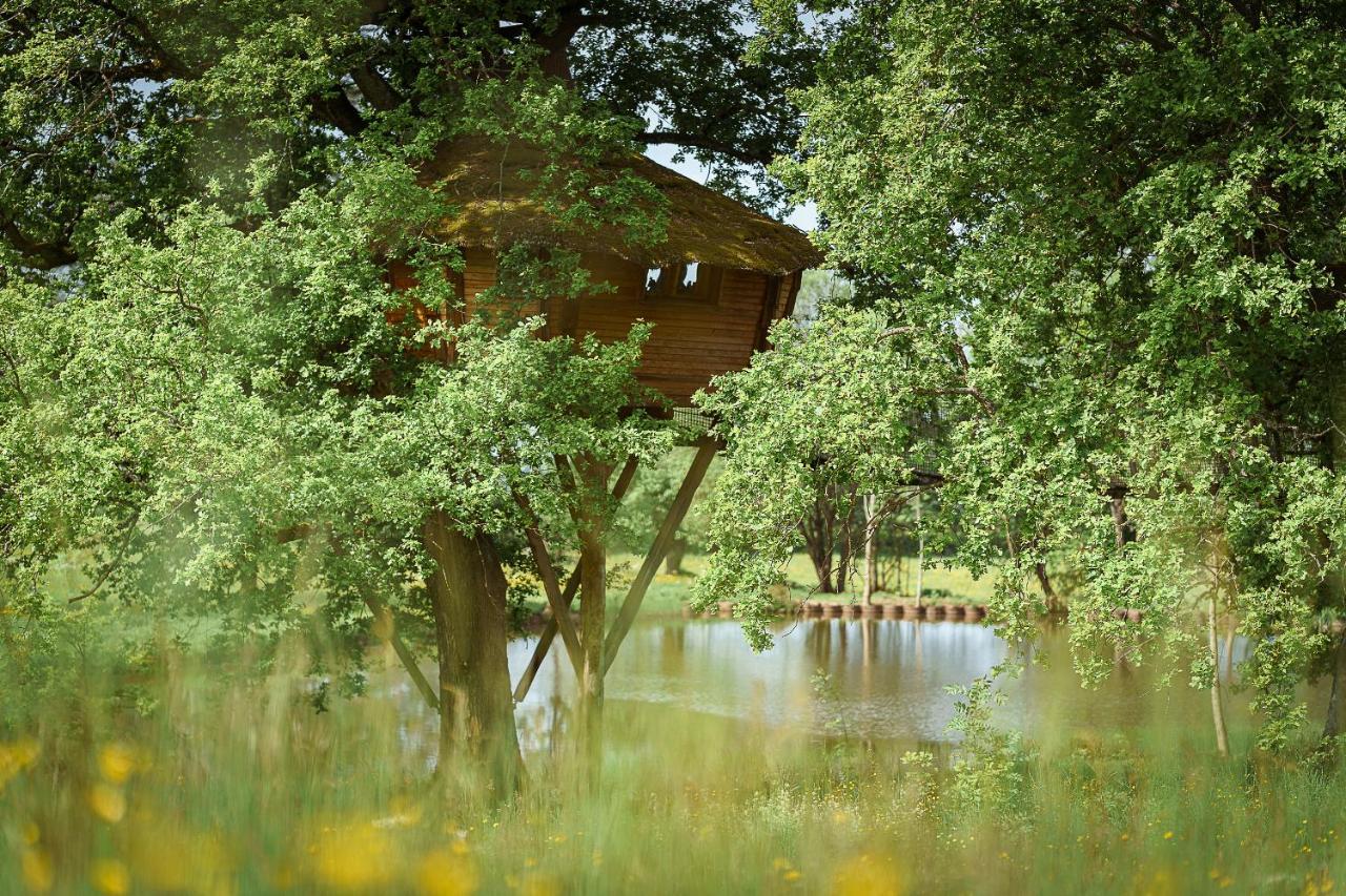 Cabane Perchee Dans Les Arbres Saint-Hilaire-en-Morvan Экстерьер фото