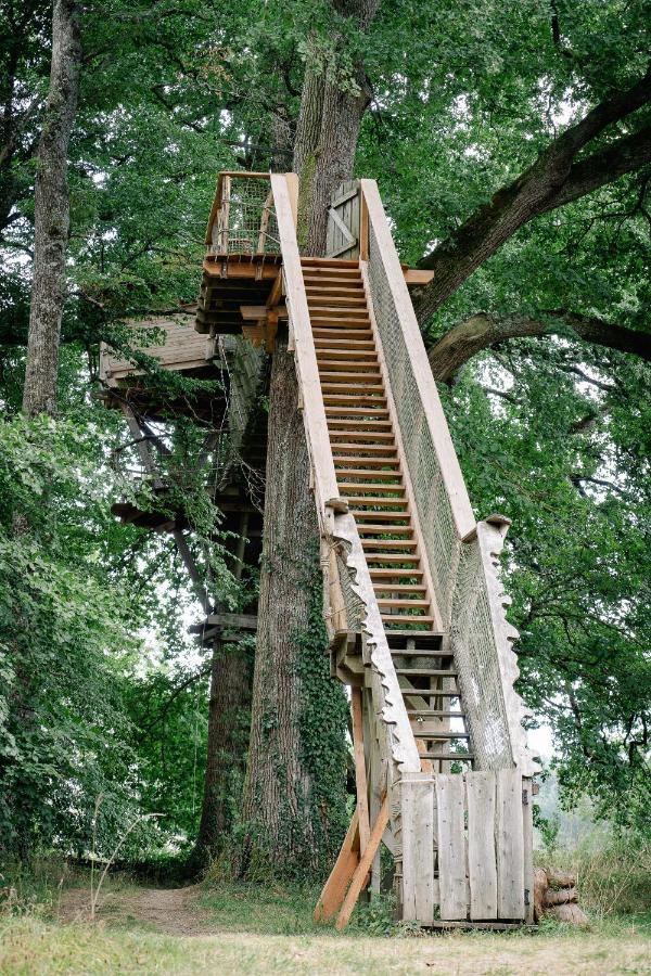 Cabane Perchee Dans Les Arbres Saint-Hilaire-en-Morvan Экстерьер фото