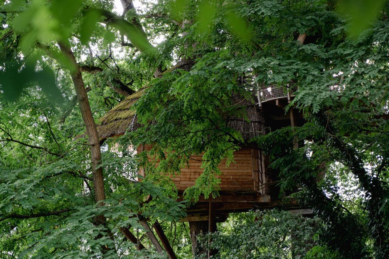 Cabane Perchee Dans Les Arbres Saint-Hilaire-en-Morvan Экстерьер фото