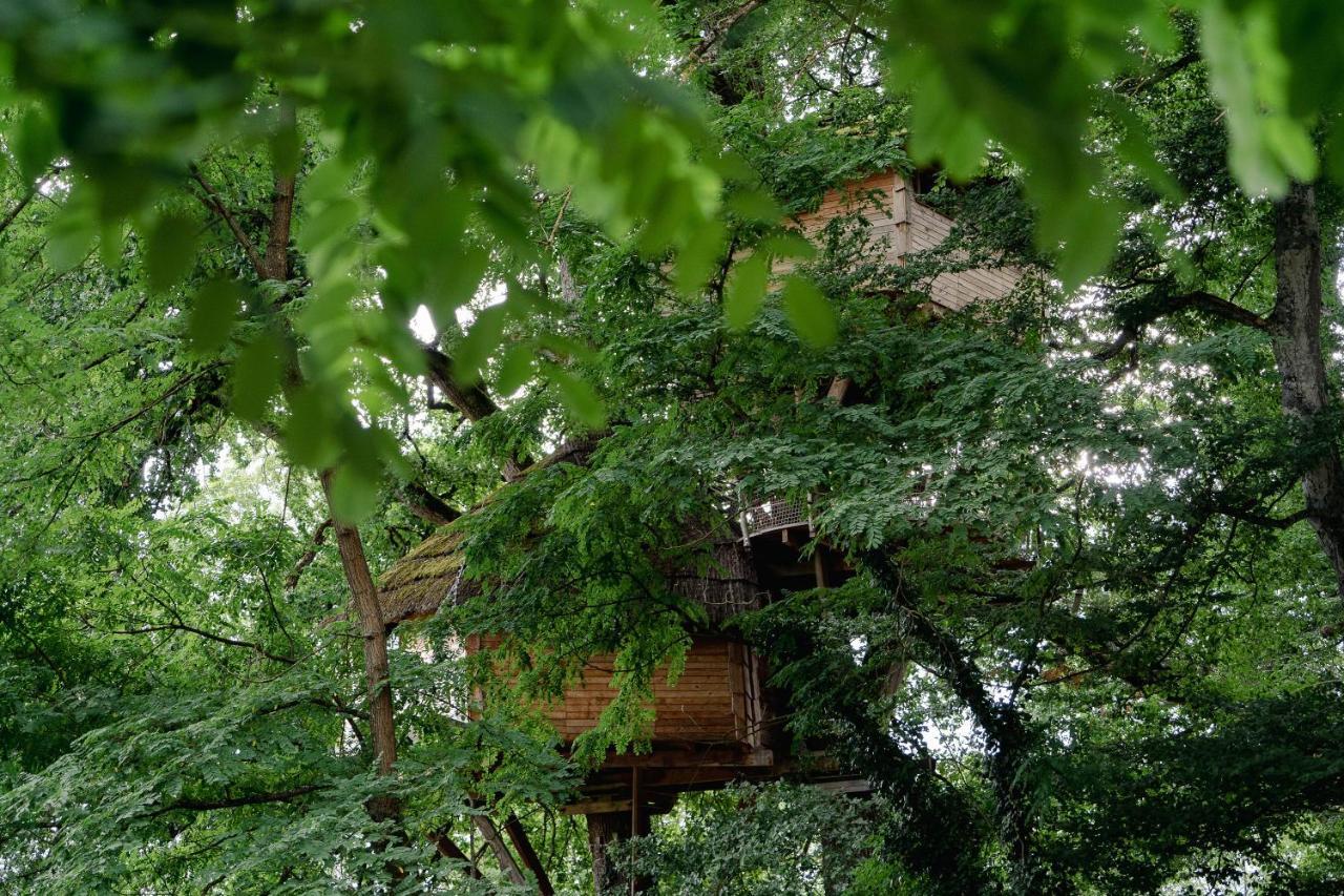 Cabane Perchee Dans Les Arbres Saint-Hilaire-en-Morvan Экстерьер фото